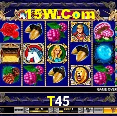 Game Providers T45