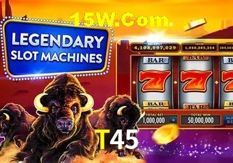 2FA Security T45